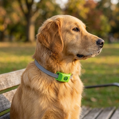 AuraShield™ Chemical-Free Flea & Tick Collar