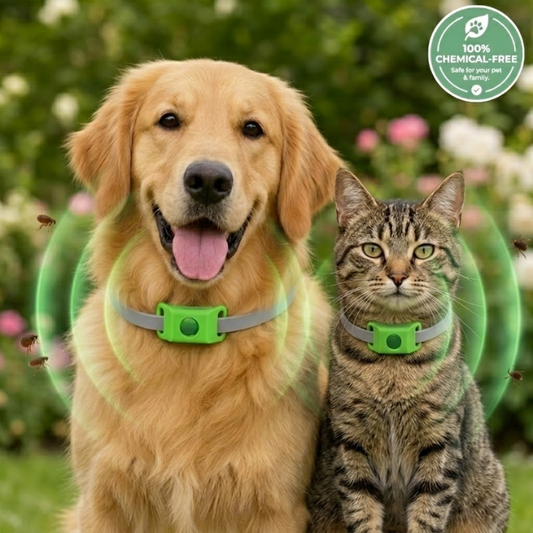 AuraShield™ Chemical-Free Flea & Tick Collar